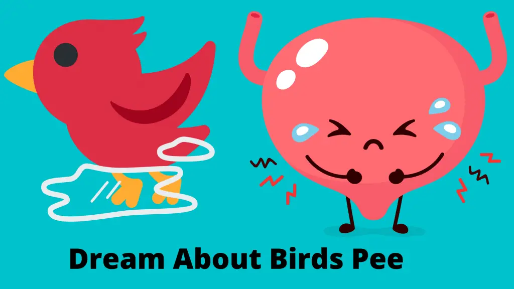dream about birds pee