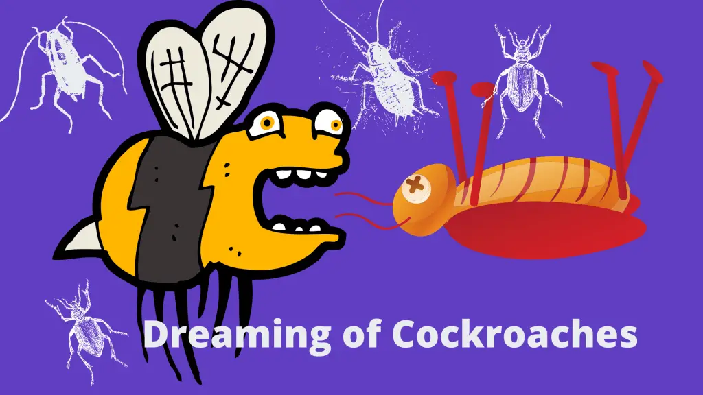 dreaming of cockroaches