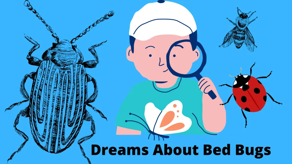 Why Did I Dream About Bed Bugs