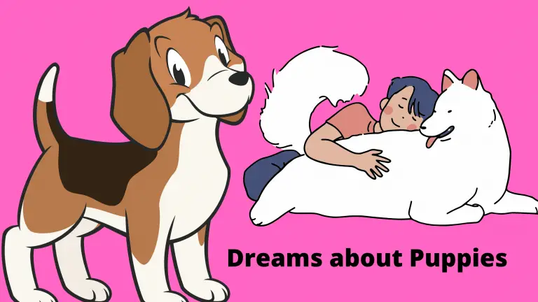 Dreams about puppies