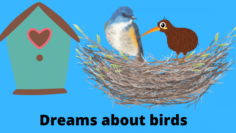 dreams about birds