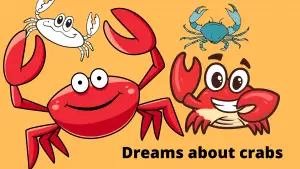 Dreams about crabs