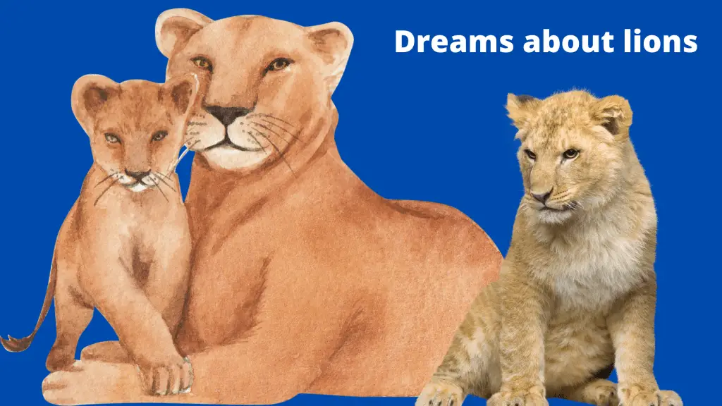 Dreams about lions