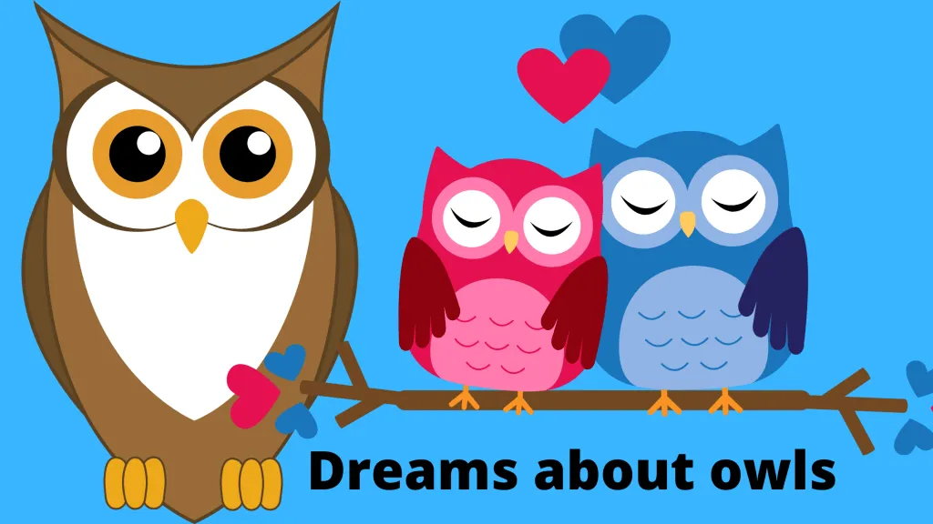 dreams about owls