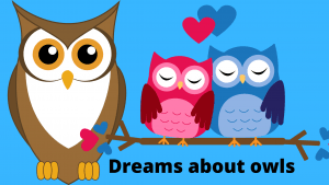 dreams about owls