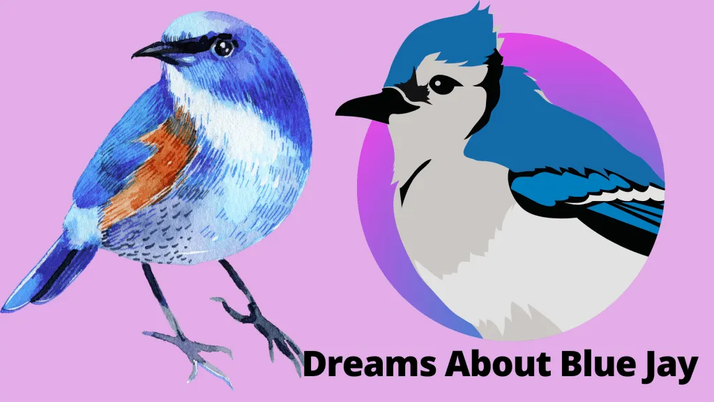 Dreams About Blue Jay