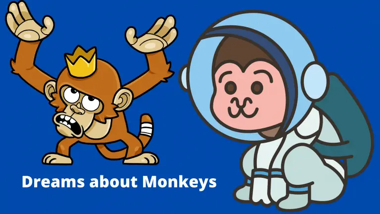 dreams about monkeys