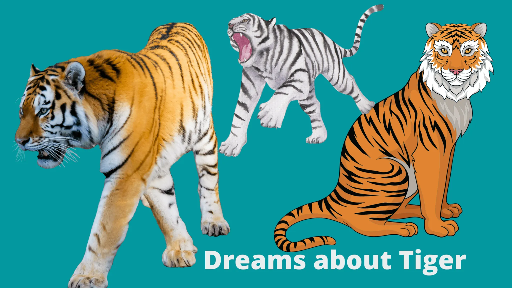 Tiger In Dreams 26 Meanings You Never Know (Explained) Dream Archive