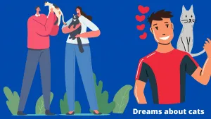 Dreams about cats