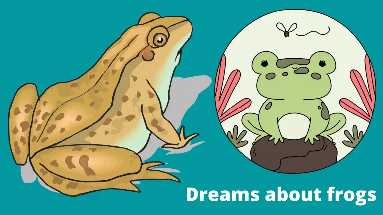 Dreams about frogs