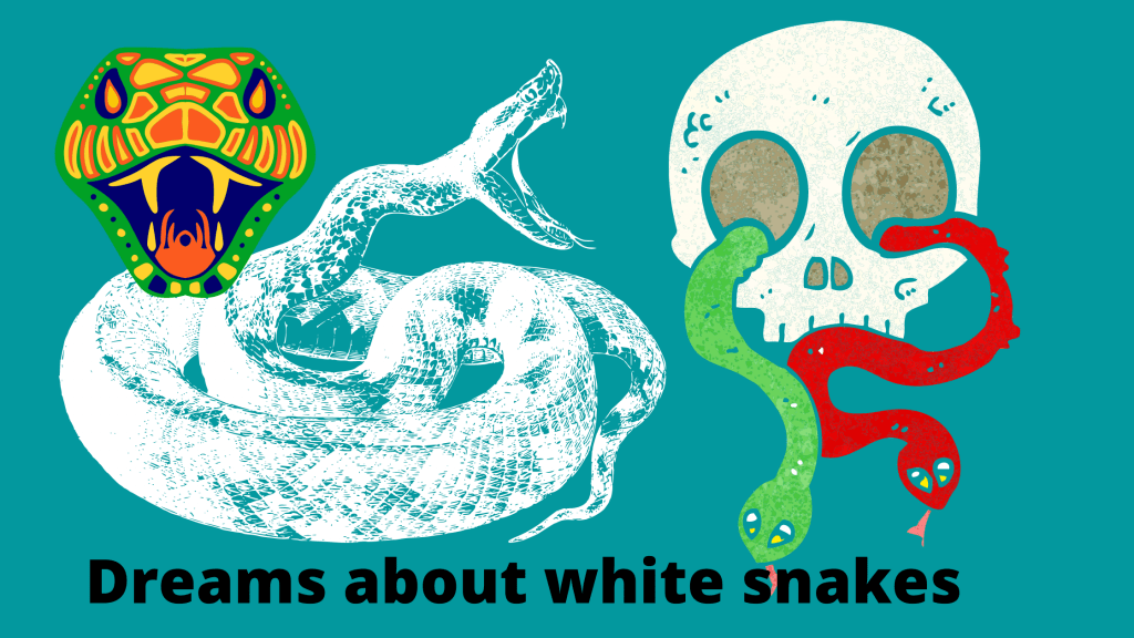 Dreams about white snakes