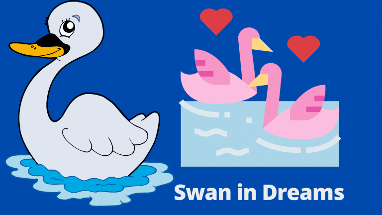 Swan in Dreams