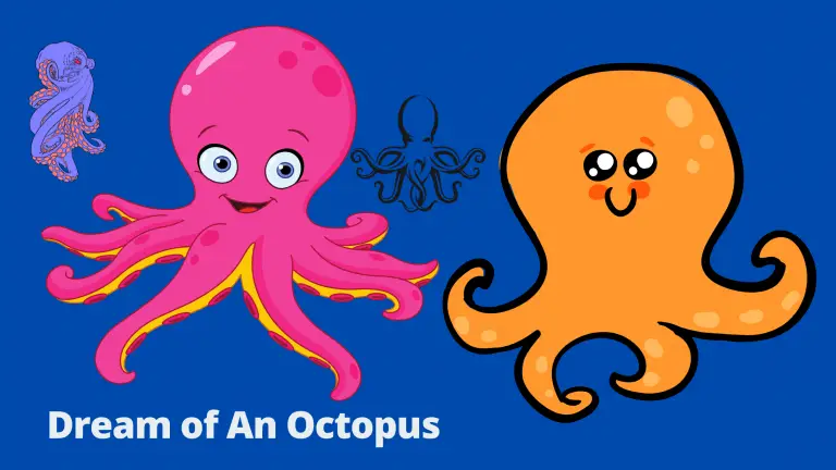 Dream of An Octopus