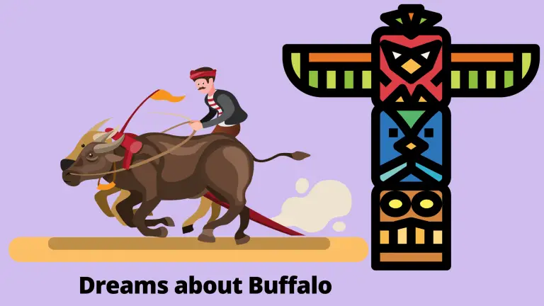 Dreams about Buffalo