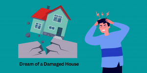 Dream of a Damaged House