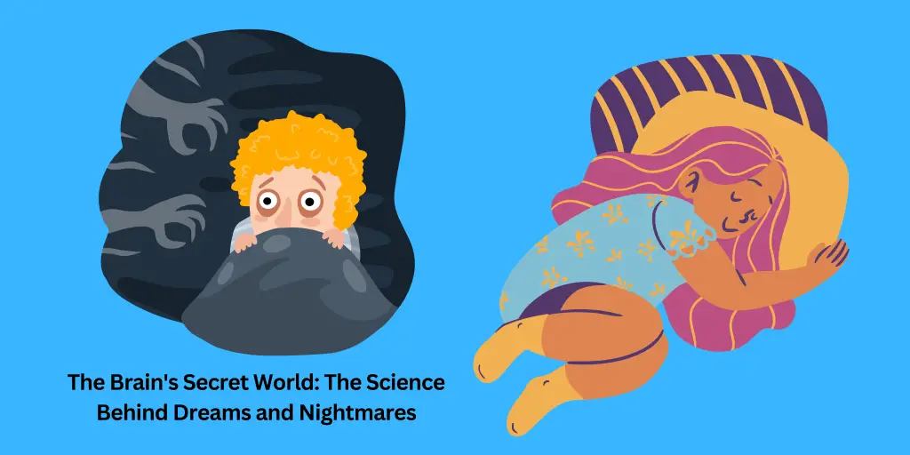 The Brain's Secret World The Science Behind Dreams and Nightmares