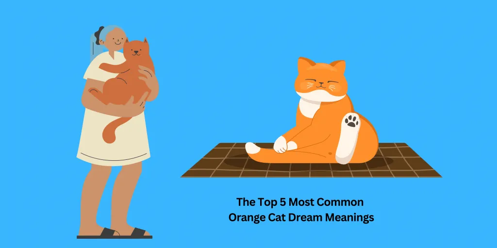 dream meaning about orange cat