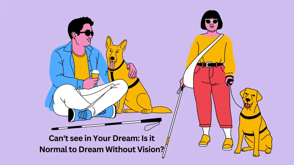Can't see in Your Dream Is it Normal to Dream Without Vision