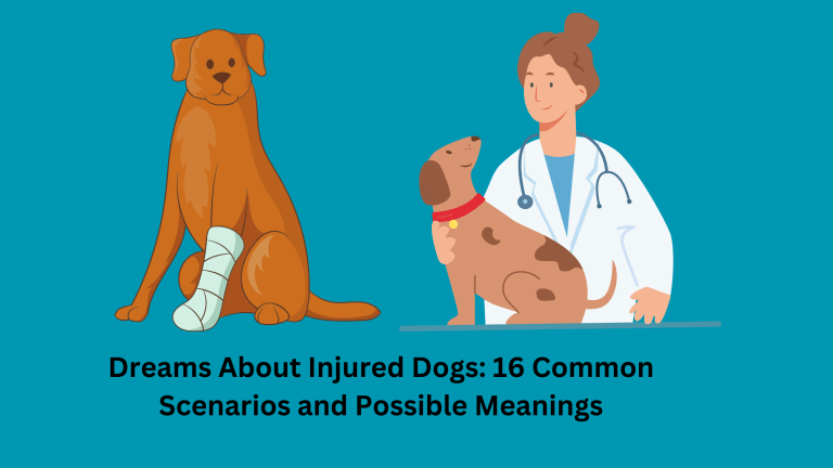 Dreams About Injured Dogs 16 Common Scenarios and Possible Meanings
