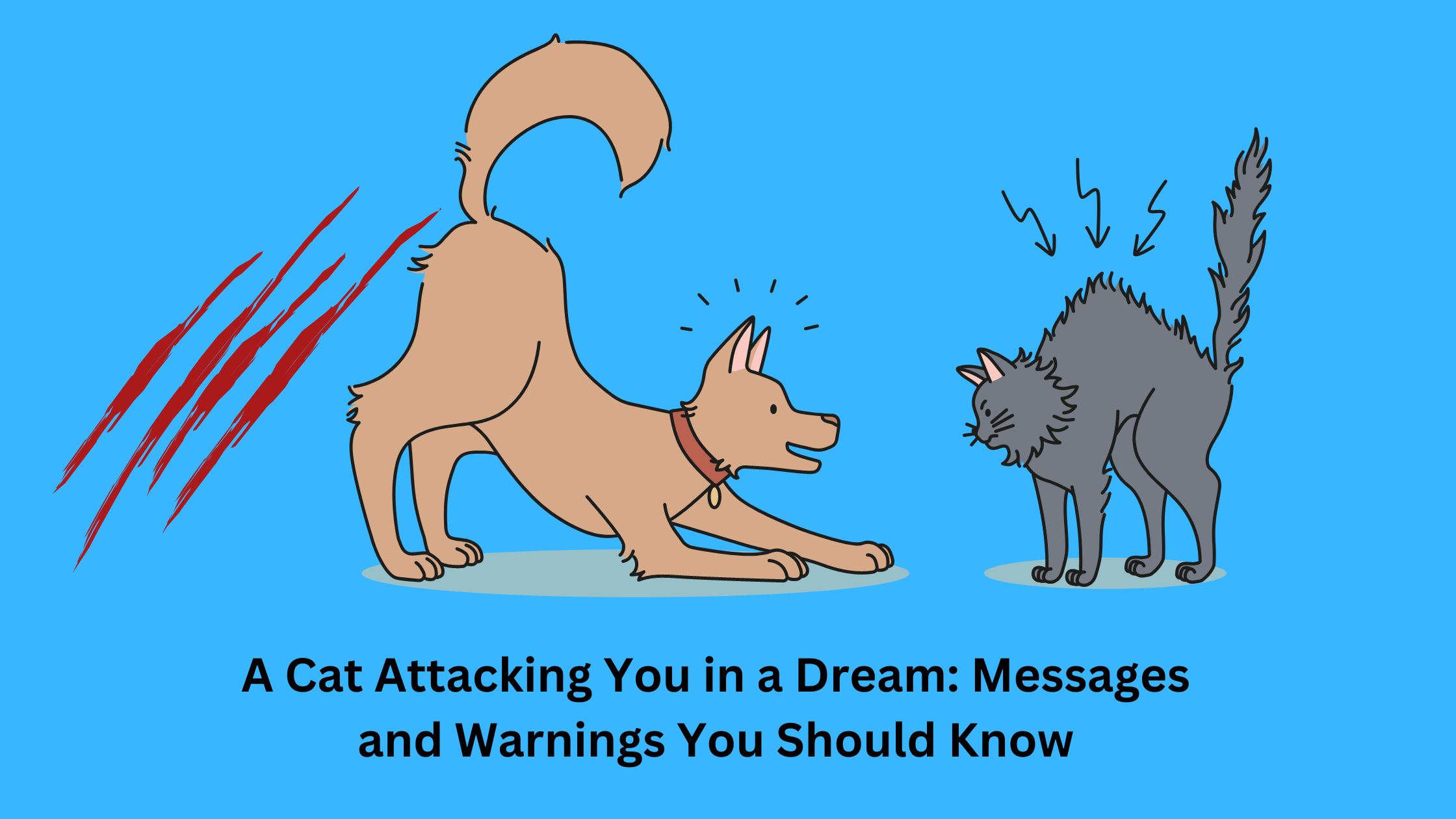 A Cat Attacking You in a Dream Messages and Warnings You Should Know