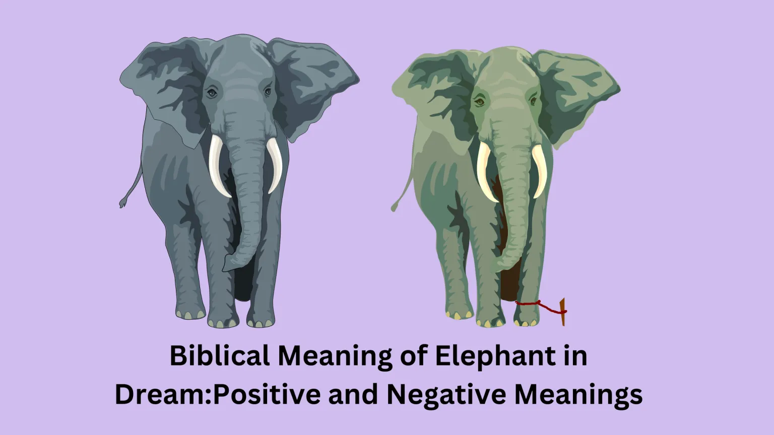 Biblical Meaning Of Elephant In Dream Positive And Negative Meanings