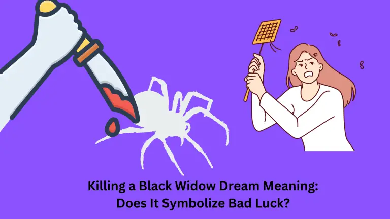 Killing a Black Widow Dream Meaning Does It Symbolize Bad Luck