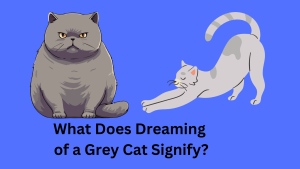 What Does Dreaming of a Grey Cat Signify