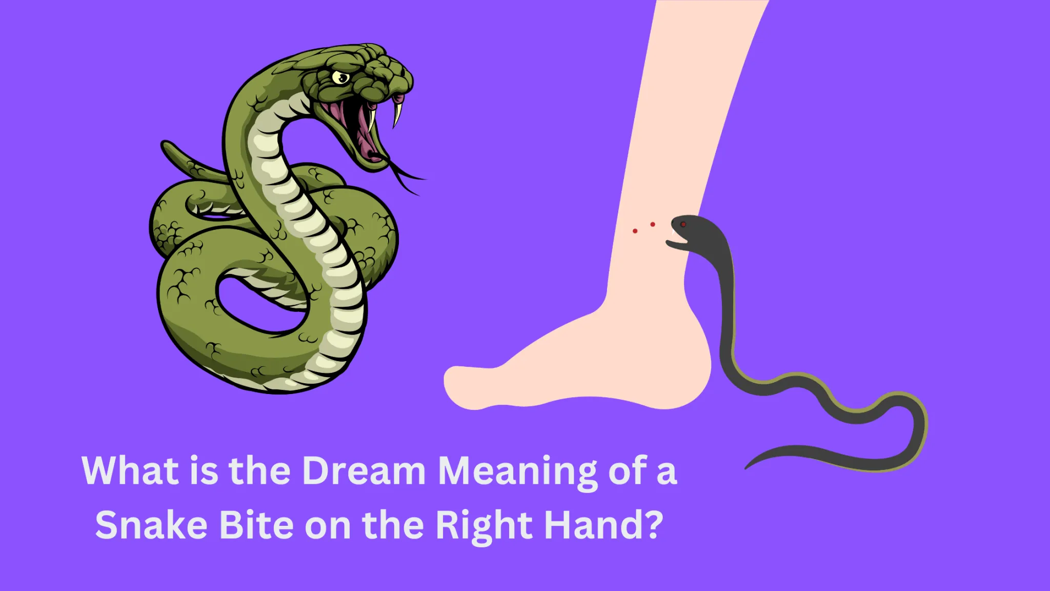 What Is The Dream Meaning Of A Snake Bite On The Right Hand? Dream