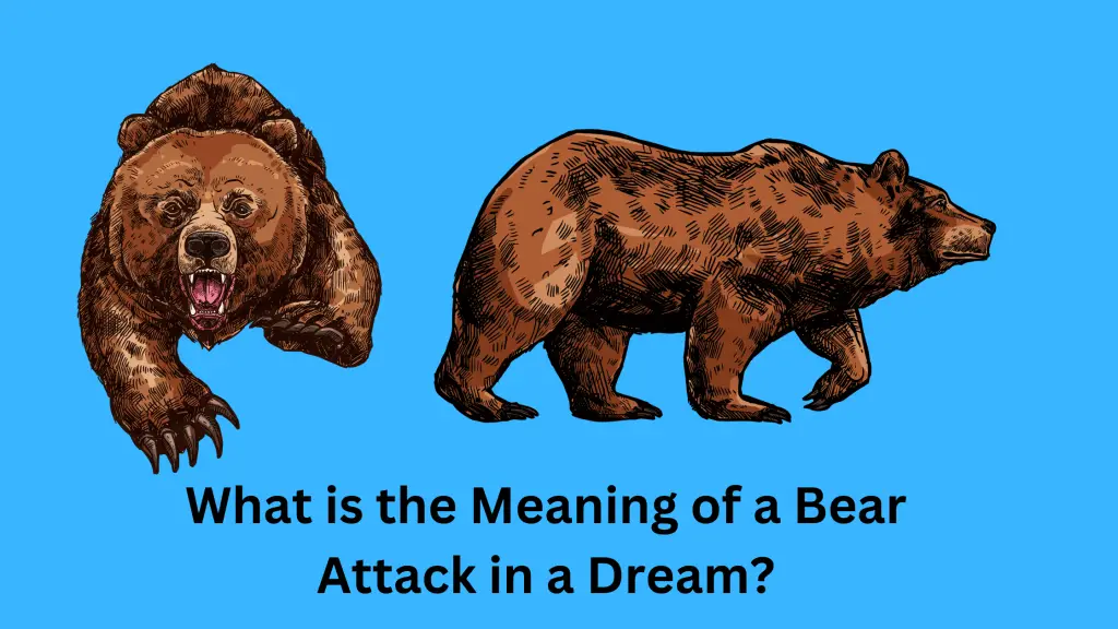 What is the Meaning of a Bear Attack in a Dream