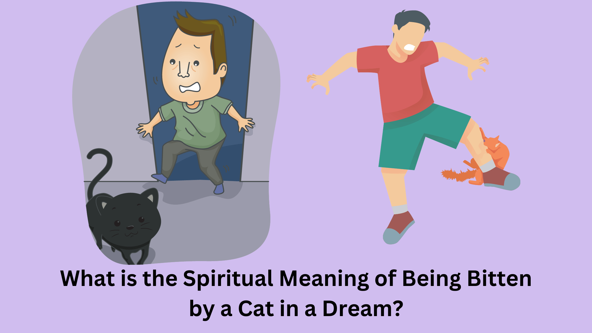 What is the Spiritual Meaning of Being Bitten by a Cat in a Dream