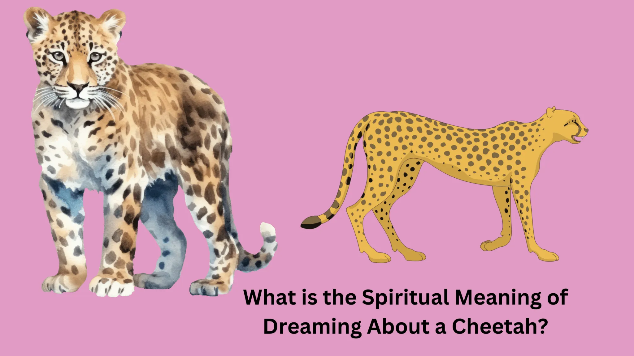 What Is The Spiritual Meaning Of Dreaming About A Cheetah? Dream Archive