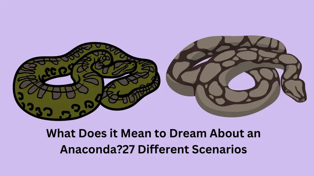 What Does it Mean to Dream About an Anaconda?27 Different Scenarios