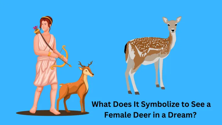 What Does It Symbolize to See a Female Deer in a Dream?