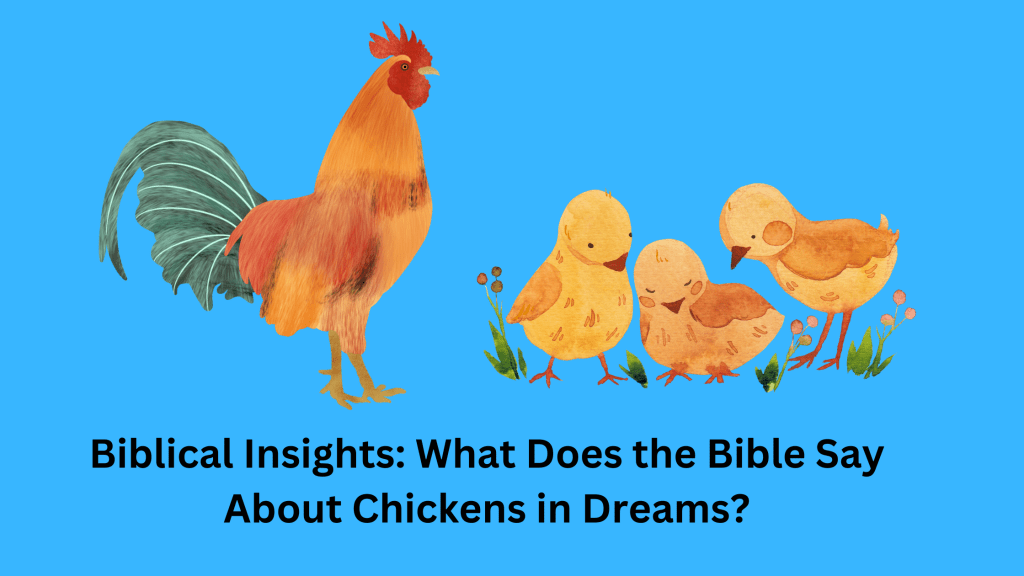 Biblical Insights What Does the Bible Say About Chickens in Dreams