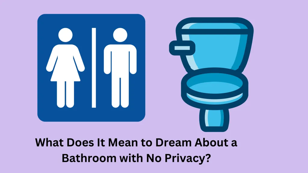 Dream About a Bathroom with No Privacy
