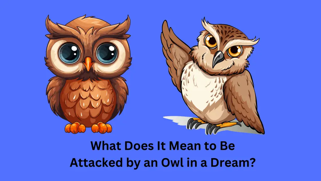 What Does It Mean to Be Attacked by an Owl in a Dream