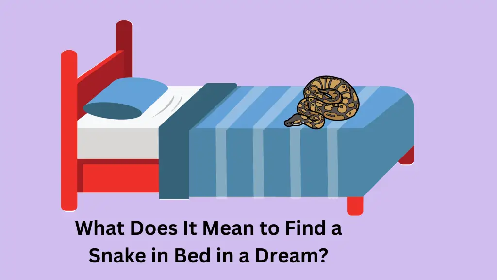 What Does It Mean to Find a Snake in Bed in a Dream