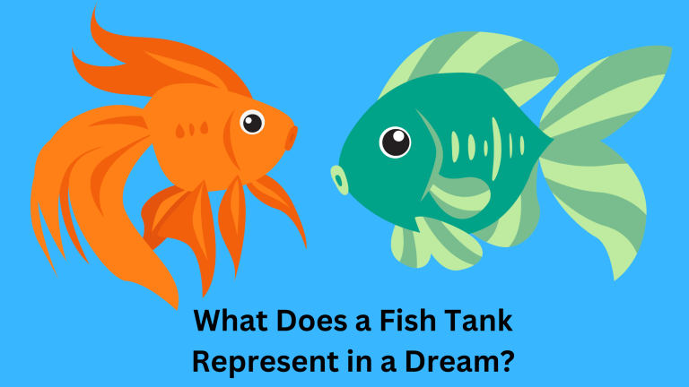 What Does a Fish Tank Represent in a Dream