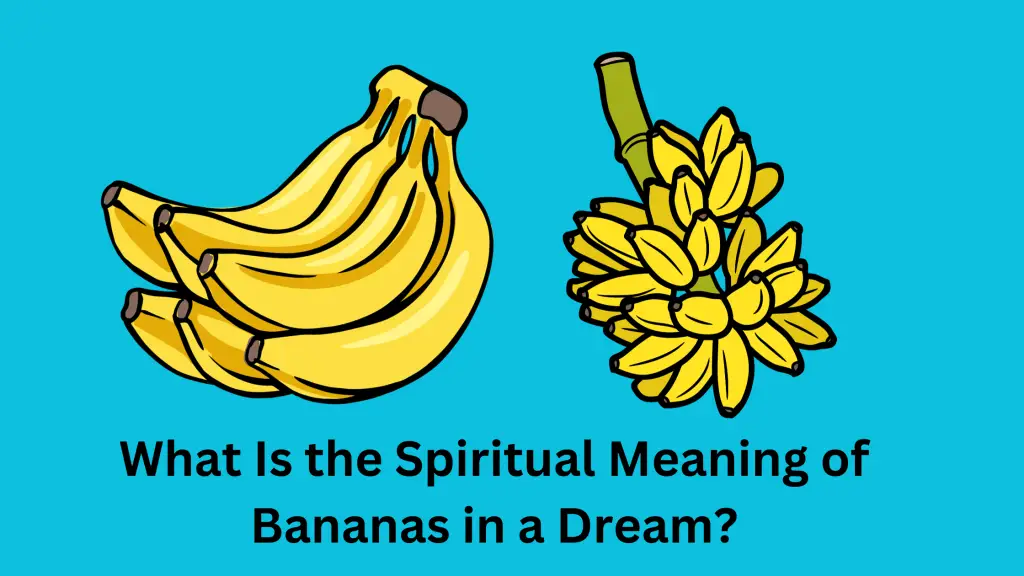 What Is the Spiritual Meaning of Bananas in a Dream