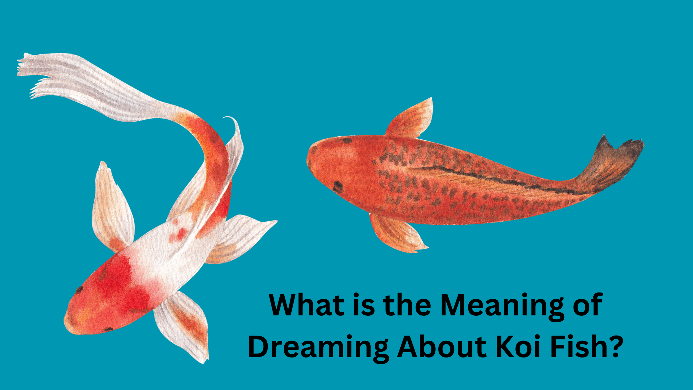 What is the Meaning of Dreaming About Koi Fish