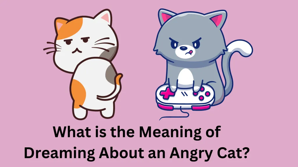 What is the Meaning of Dreaming About an Angry Cat