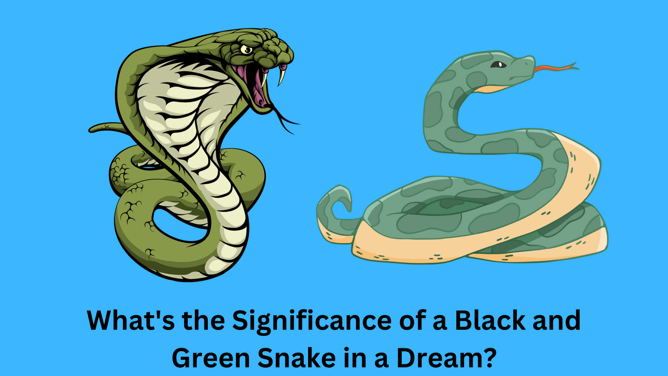 What's the Significance of a Black and Green Snake in a Dream