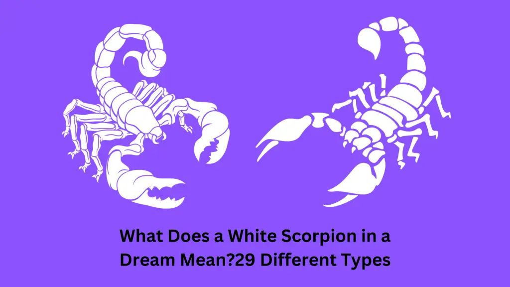 What Does a White Scorpion in a Dream Mean?29 Different Types