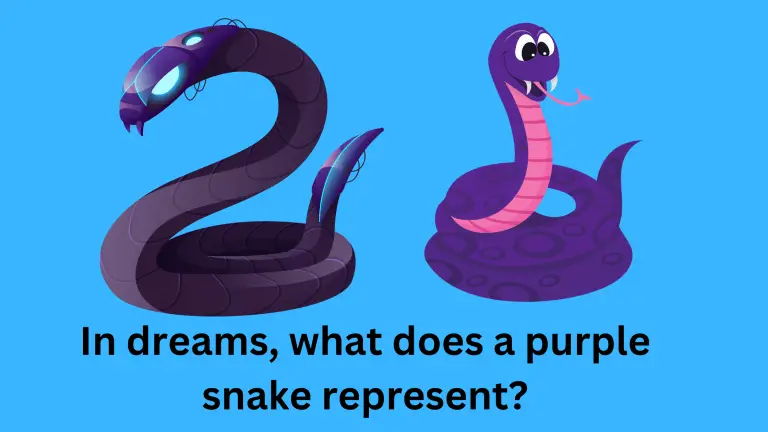 In dreams, what does a purple snake represent