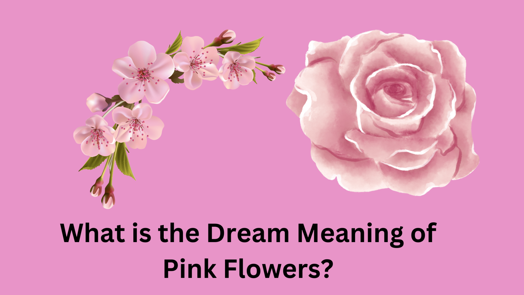 What Is The Dream Meaning Of Pink Flowers? Dream Archive