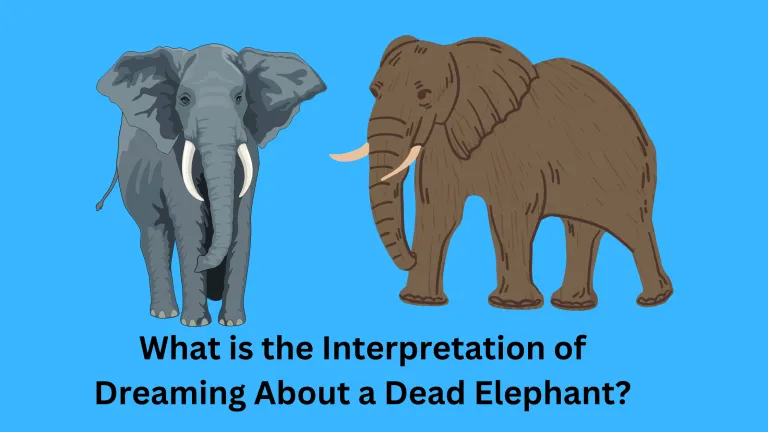 What is the Interpretation of Dreaming About a Dead Elephant