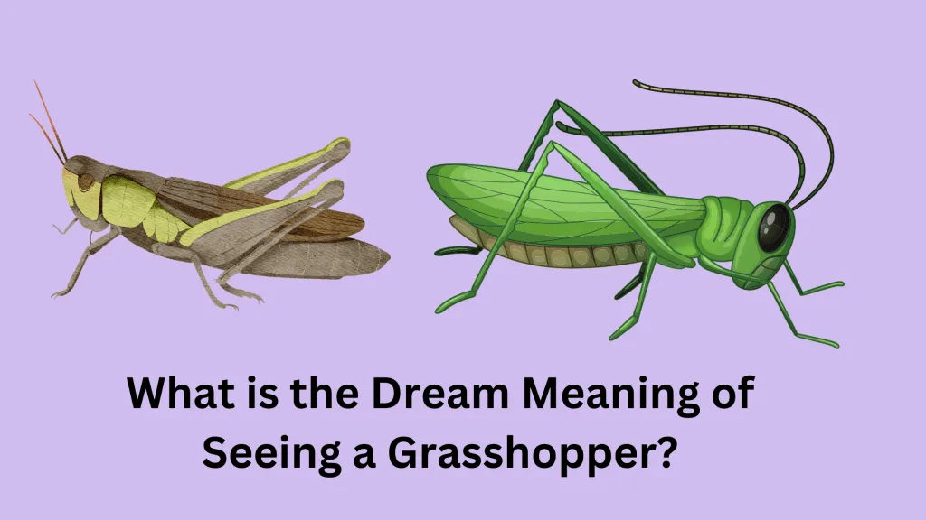 What is the Dream Meaning of Seeing a Grasshopper